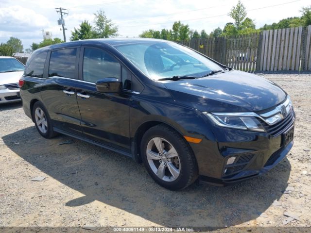 HONDA ODYSSEY 2019 5fnrl6h79kb052816