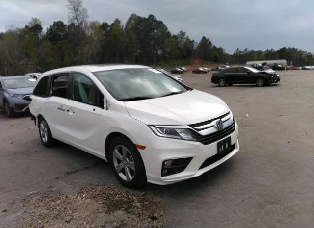 HONDA ODYSSEY 2019 5fnrl6h79kb058468