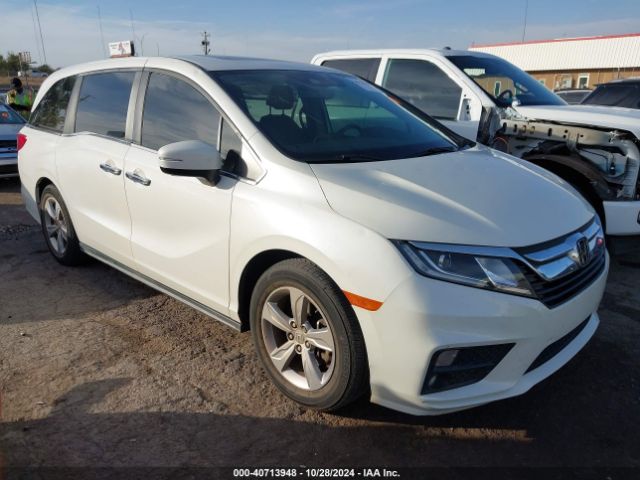 HONDA ODYSSEY 2019 5fnrl6h79kb062617