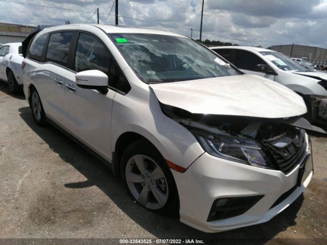 HONDA ODYSSEY 2019 5fnrl6h79kb067302