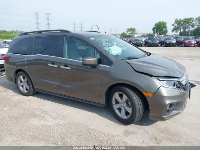 HONDA ODYSSEY 2019 5fnrl6h79kb074198