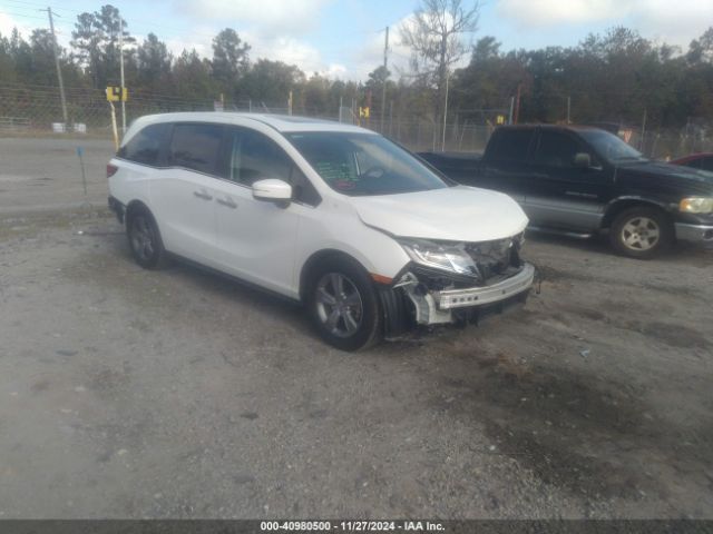 HONDA ODYSSEY 2019 5fnrl6h79kb082981