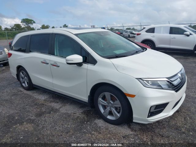 HONDA ODYSSEY 2019 5fnrl6h79kb107071