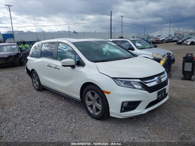 HONDA ODYSSEY 2019 5fnrl6h79kb109905