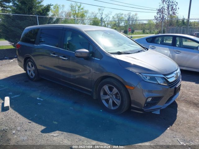 HONDA ODYSSEY 2019 5fnrl6h79kb112965