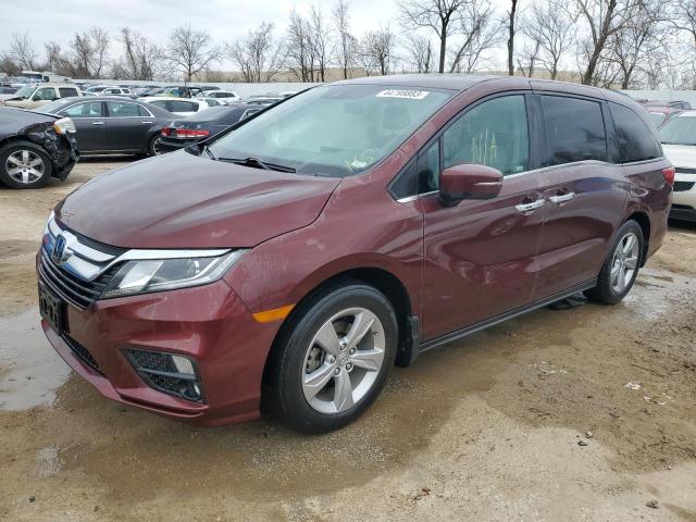 HONDA ODYSSEY EX 2019 5fnrl6h79kb116613