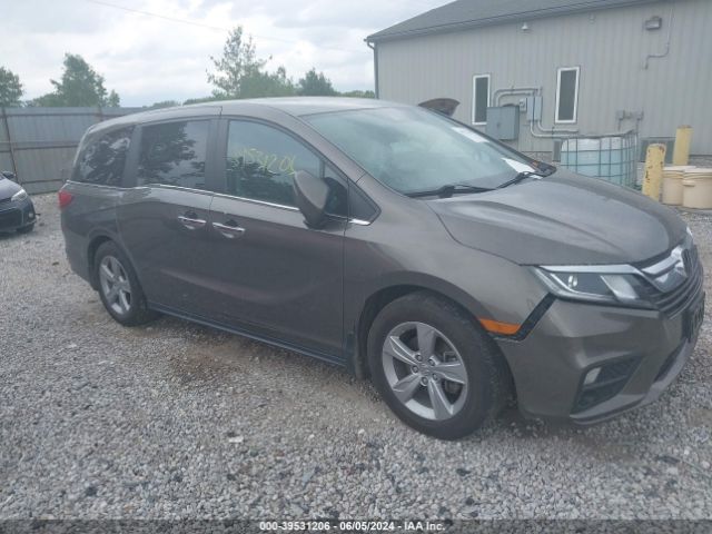 HONDA ODYSSEY 2019 5fnrl6h79kb119270