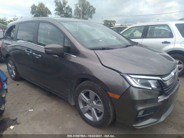 HONDA ODYSSEY 2020 5fnrl6h79lb058603