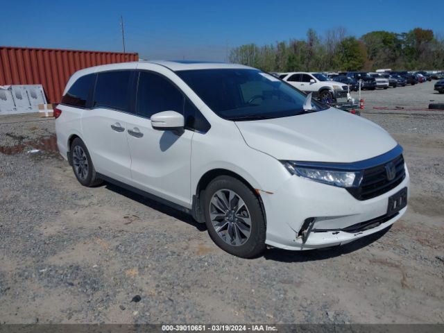 HONDA ODYSSEY 2022 5fnrl6h79nb008870