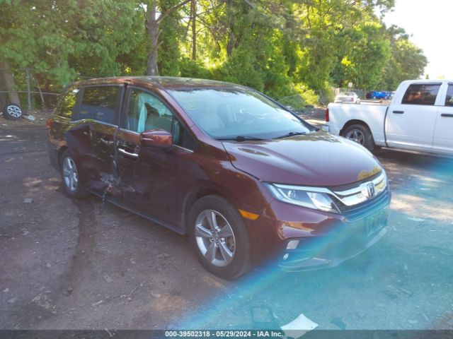 HONDA ODYSSEY 2019 5fnrl6h7xkb025978