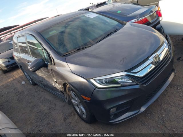 HONDA ODYSSEY 2020 5fnrl6h7xlb071537