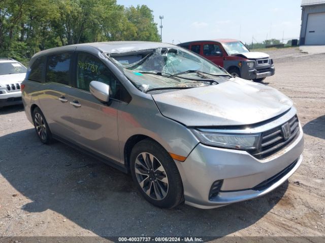 HONDA ODYSSEY 2021 5fnrl6h7xmb024901