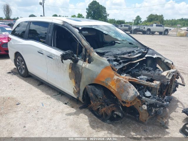 HONDA ODYSSEY 2022 5fnrl6h7xnb064445