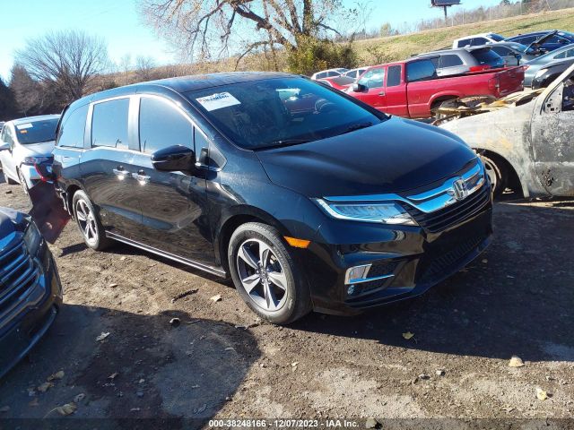 HONDA ODYSSEY 2019 5fnrl6h80kb008566