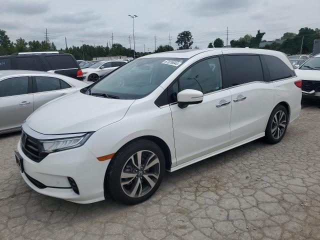 HONDA ODYSSEY TO 2023 5fnrl6h80pb043826