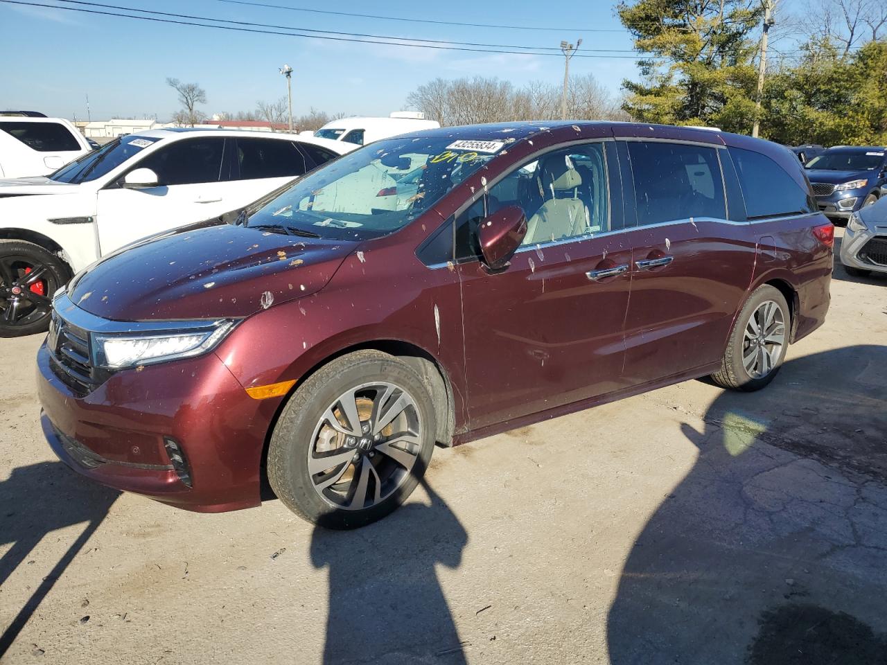 HONDA ODYSSEY 2021 5fnrl6h81mb021006