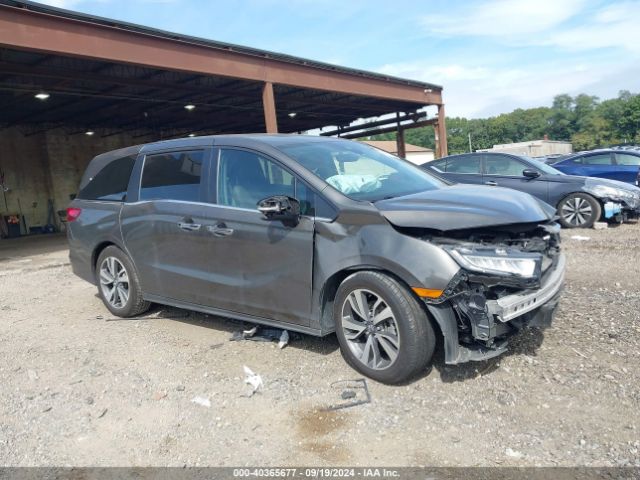 HONDA ODYSSEY 2022 5fnrl6h81nb049115