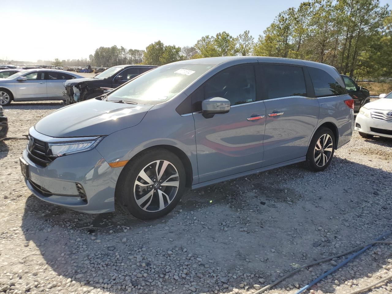 HONDA ODYSSEY 2023 5fnrl6h81pb019678