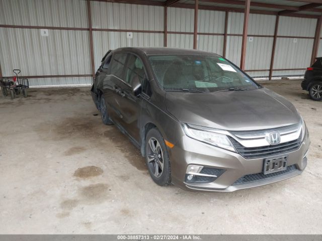 HONDA ODYSSEY 2019 5fnrl6h82kb054299