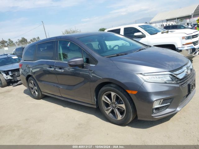 HONDA ODYSSEY 2019 5fnrl6h82kb105204