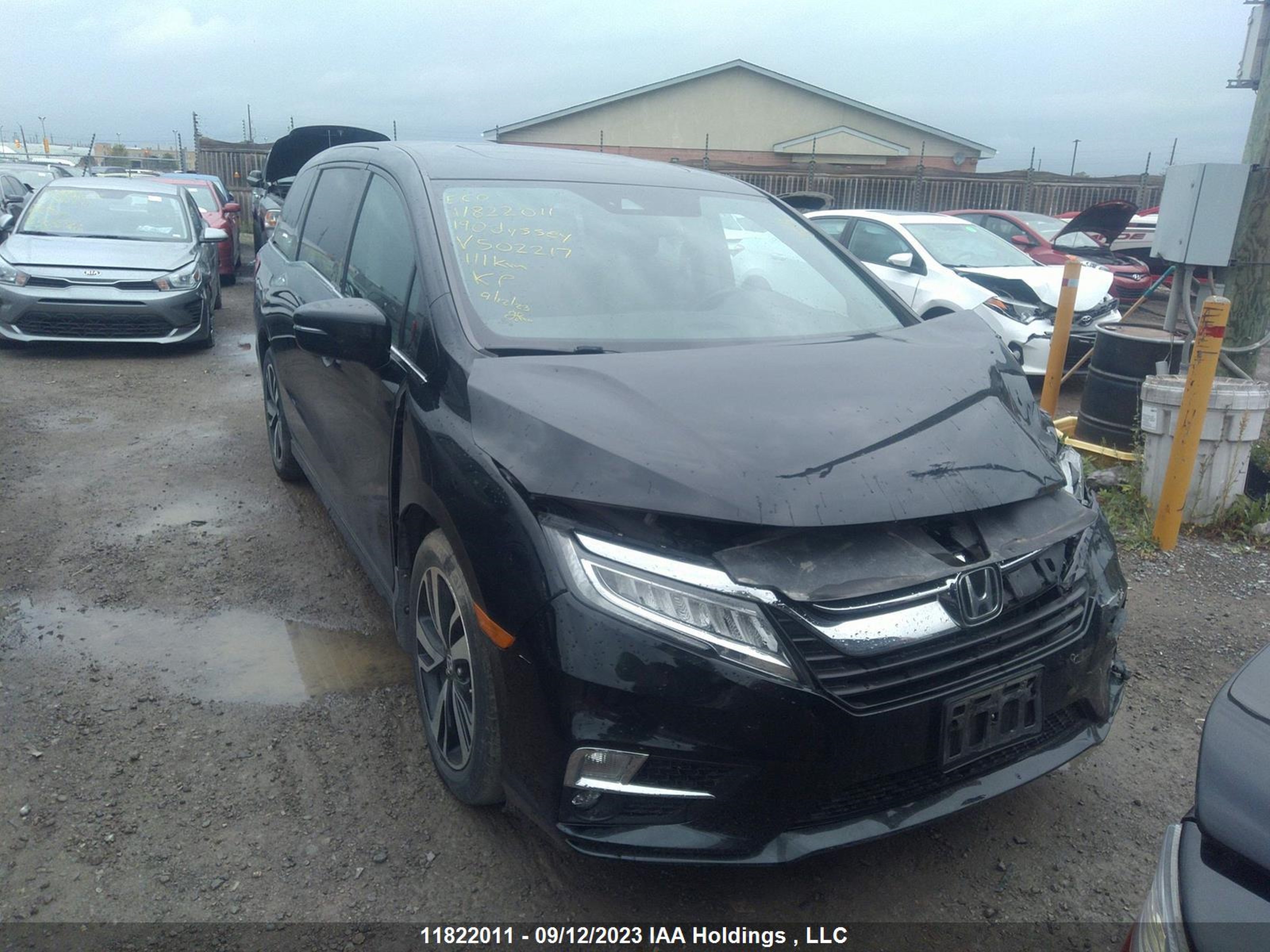 HONDA ODYSSEY 2019 5fnrl6h82kb502217