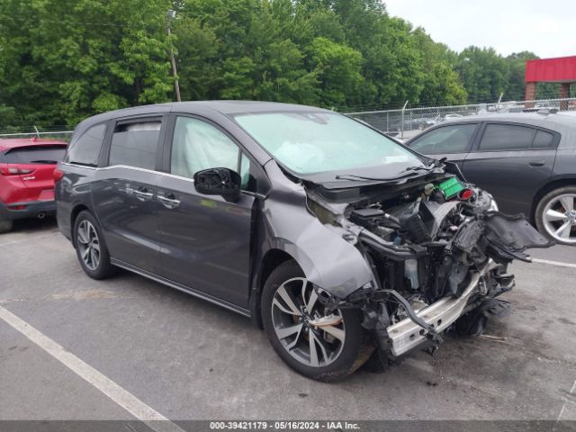 HONDA ODYSSEY 2023 5fnrl6h82pb017910