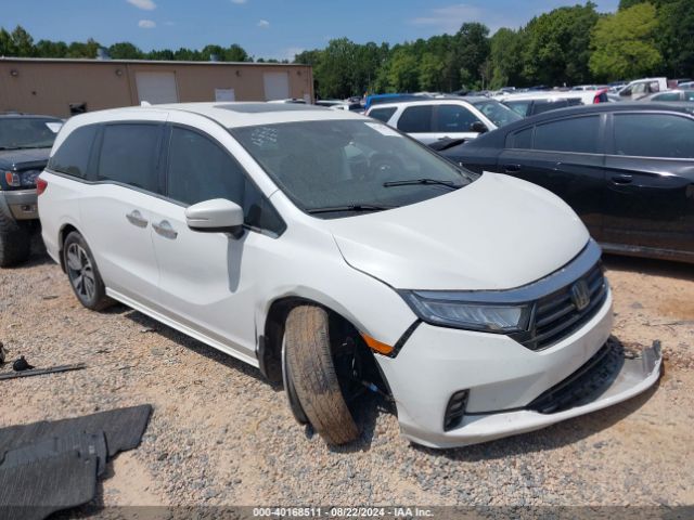 HONDA ODYSSEY 2023 5fnrl6h82pb037140