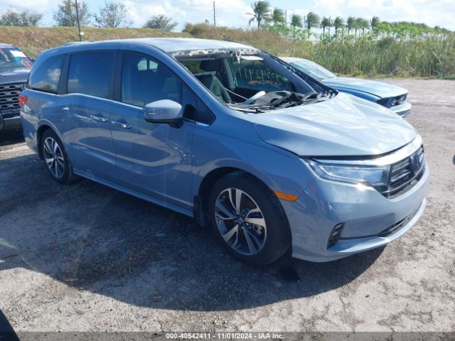 HONDA ODYSSEY 2024 5fnrl6h83rb035335