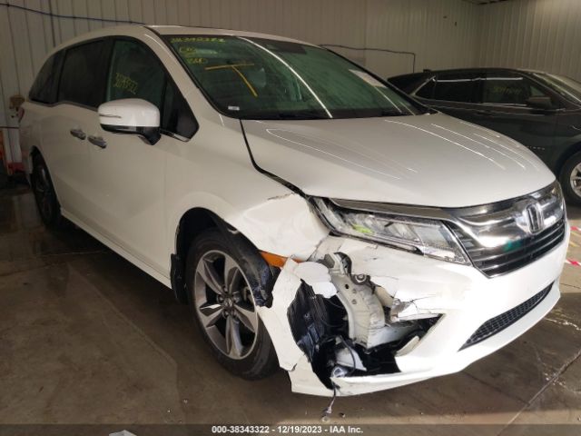 HONDA ODYSSEY 2019 5fnrl6h84kb057429