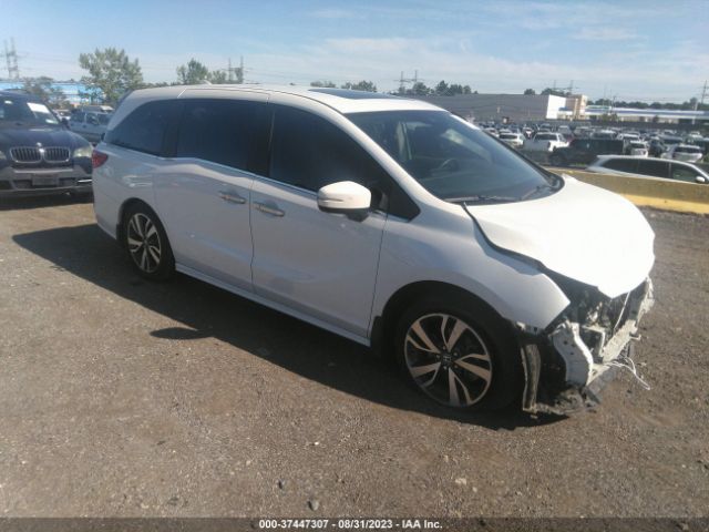 HONDA ODYSSEY 2023 5fnrl6h84pb005659