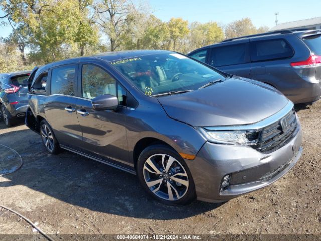 HONDA ODYSSEY 2024 5fnrl6h84rb075004