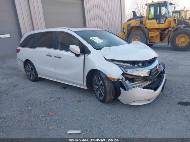 HONDA ODYSSEY 2022 5fnrl6h85nb058948