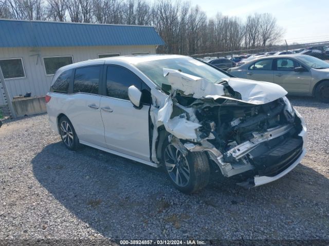 HONDA ODYSSEY 2023 5fnrl6h85pb016430