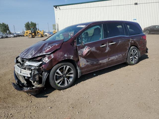 HONDA ODYSSEY 2019 5fnrl6h86kb512104