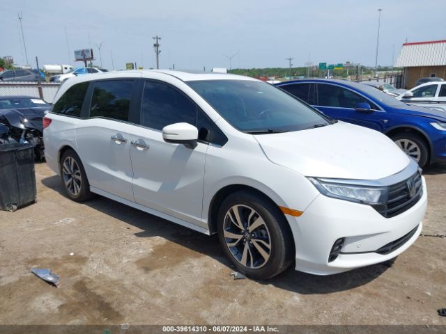 HONDA ODYSSEY 2022 5fnrl6h86nb041334