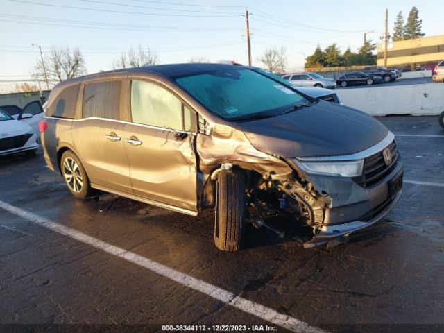 HONDA ODYSSEY 2023 5fnrl6h86pb015948