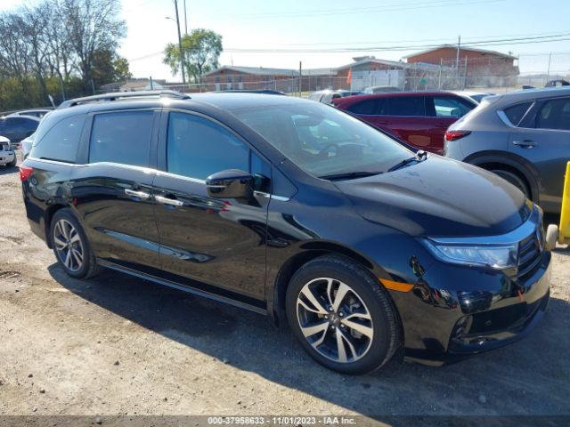 HONDA ODYSSEY 2023 5fnrl6h86pb065555