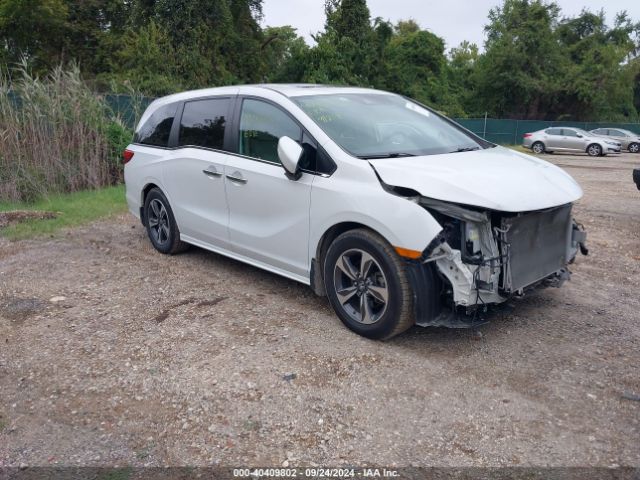 HONDA ODYSSEY 2020 5fnrl6h88lb010695