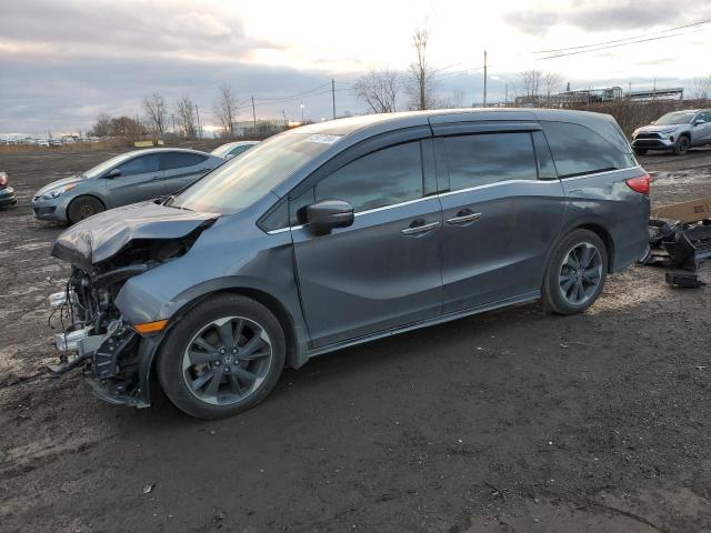 HONDA ODYSSEY TO 2024 5fnrl6h88rb501616