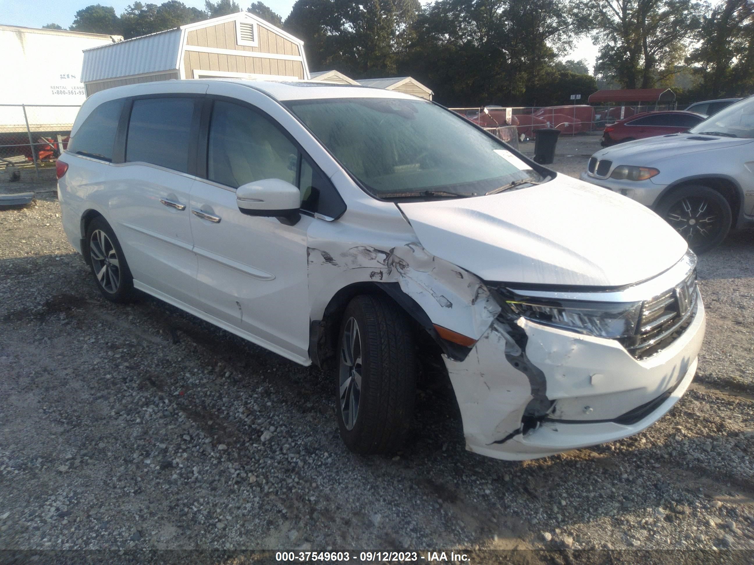 HONDA ODYSSEY 2023 5fnrl6h8xpb034065