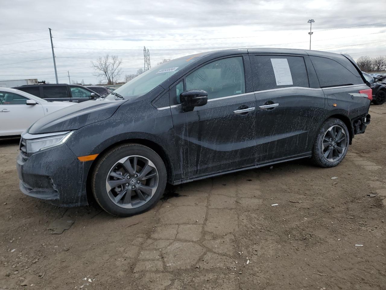 HONDA ODYSSEY 2023 5fnrl6h90pb062479