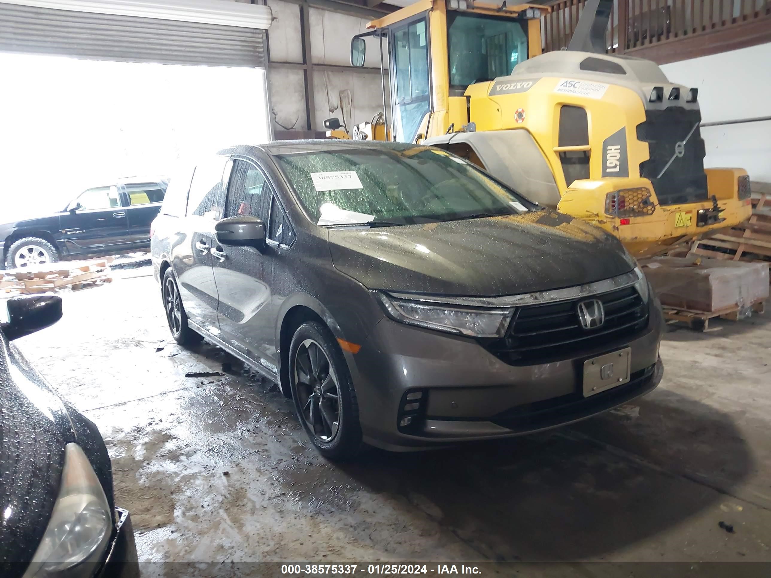 HONDA ODYSSEY 2021 5fnrl6h91mb010418