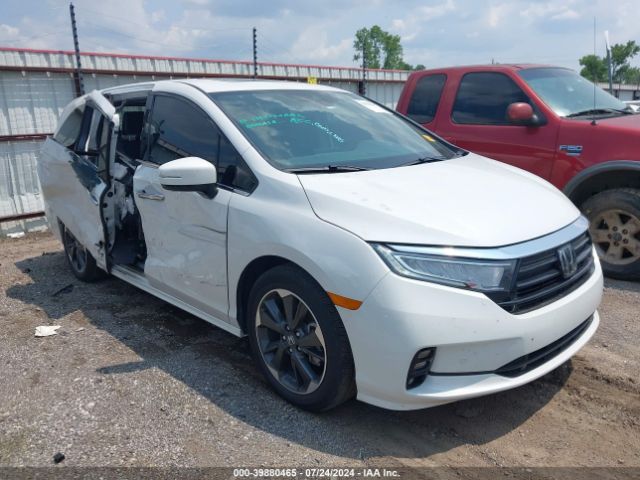 HONDA ODYSSEY 2024 5fnrl6h91rb014122