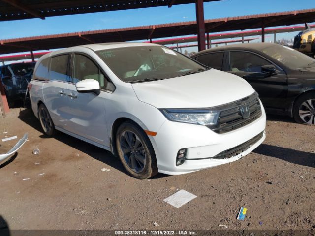 HONDA ODYSSEY 2022 5fnrl6h95nb003148