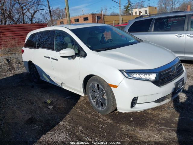 HONDA ODYSSEY 2023 5fnrl6h95pb004092