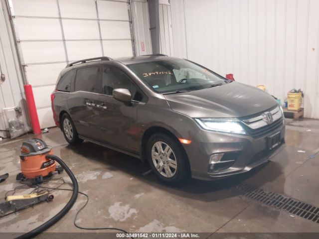 HONDA ODYSSEY 2019 5fnrl6h96kb016292