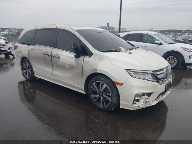 HONDA ODYSSEY 2019 5fnrl6h96kb061796