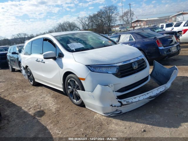 HONDA ODYSSEY 2023 5fnrl6h97pb012713