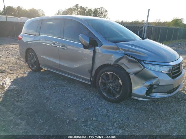 HONDA ODYSSEY 2023 5fnrl6h97pb056095