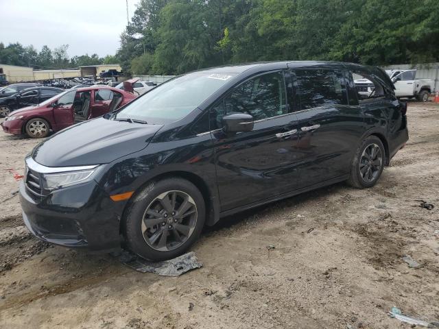 HONDA ODYSSEY EL 2023 5fnrl6h99pb062481